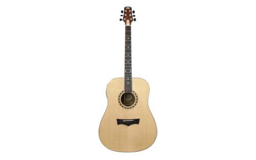 גיטרה אקוסטית DW-2 מבית PEAVEY