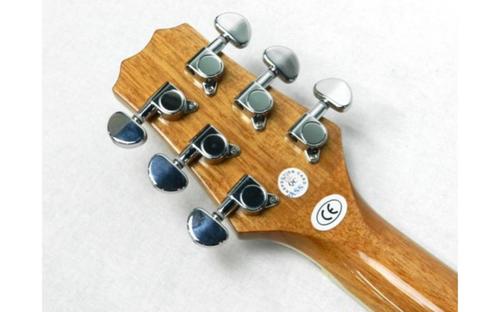 גיטרה אקוסטית DW-2 מבית PEAVEY