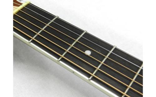 גיטרה אקוסטית DW-2 מבית PEAVEY