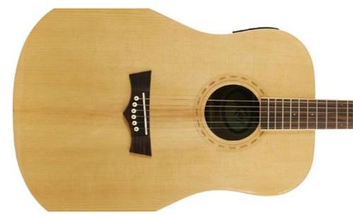 גיטרה אקוסטית DW-2 מבית PEAVEY