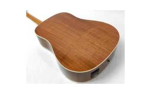 גיטרה אקוסטית DW-2 מבית PEAVEY