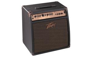 מגבר לגיטרה אקוסטית ECOUSTIC 110EFX מבית PEAVEY