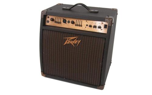 מגבר לגיטרה אקוסטית ECOUSTIC 110EFX מבית PEAVEY