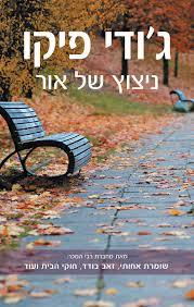 ניצוץ של אור - ג'ודי פיקו כנרת