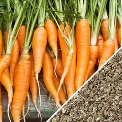 גזר- 50 גרם