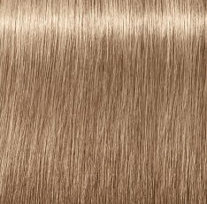 צבע לשיער שוורצקופף 8-140 Schwarzkopf Igora Royal ABSOLUTES