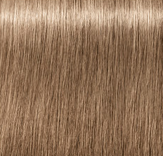 צבע לשיער שוורצקופף 8-01 Schwarzkopf Igora Royal ABSOLUTES