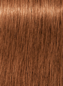 צבע לשיער שוורצקופף 7-710 Schwarzkopf Igora Royal ABSOLUTES