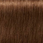 צבע לשיער שוורצקופף 6-460 Schwarzkopf Igora Royal ABSOLUTES