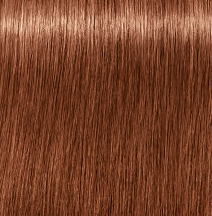 צבע לשיער שוורצקופף 7-560 Schwarzkopf Igora Royal ABSOLUTES