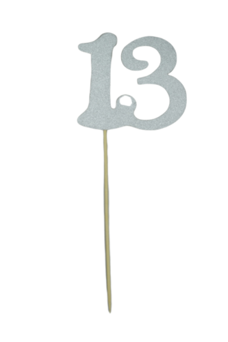 שיפוד כסף נצנצים ספרה 13