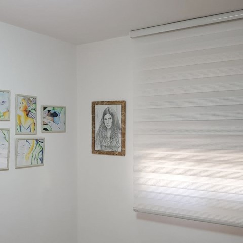 וילון זברה בהתאמה אישית דגם פליסה