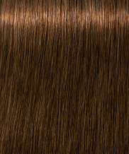 צבע לשיער 6-50 Schwarzkopf Igora Royal ABSOLUTES