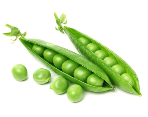 אפונת שלג 