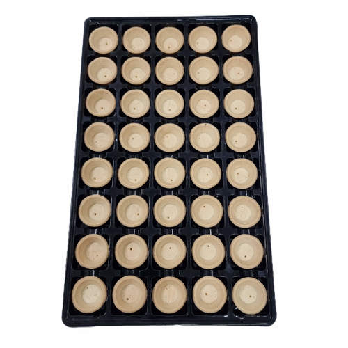 טארטלט מיני עגול מלוח מוכן לשימוש