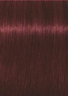 צבע לשיער שוורצקופף 4-88 Igora Royal