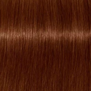 צבע שוורצקופף 7-470 Schwarzkopf Igora Royal