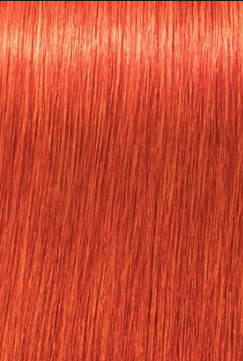 צבע שוורצקופף 0-77 Schwarzkopf Igora Royal
