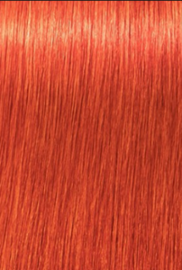 צבע שוורצקופף 0-77 Schwarzkopf Igora Royal