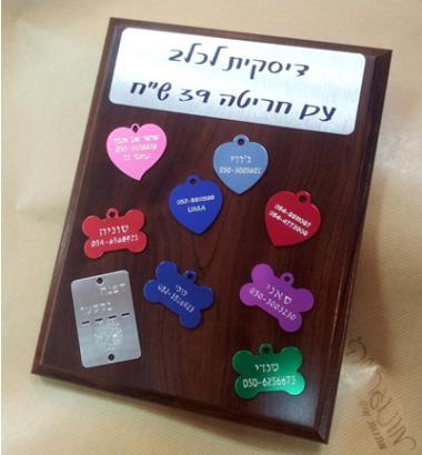 דיסקית לכלב