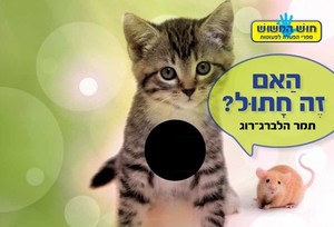 ספר המישוש - האם זה חתול? / תמר הלברג רוג
