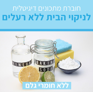 חוברת מתכונים דיגיטלית לניקוי הבית ללא רעלים
