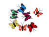 פרפרים ליצירה  20 יחידות
