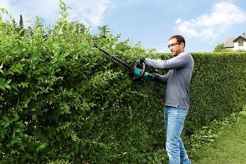 גוף גוזם גדר חיה BOSCH AHS 50-20 LI 