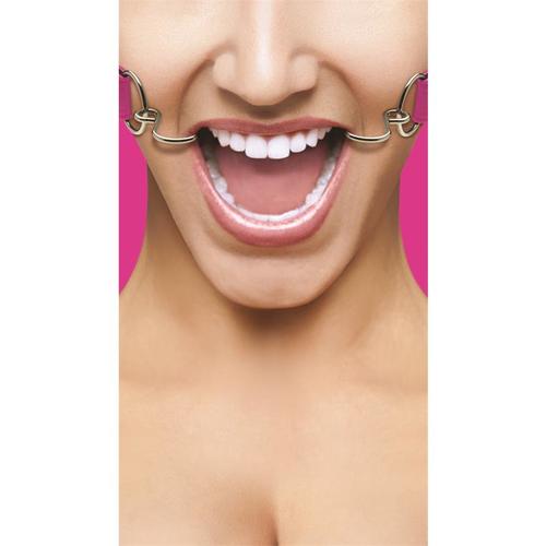 מחסום לפה גאג erx  Shots - Hook Gag