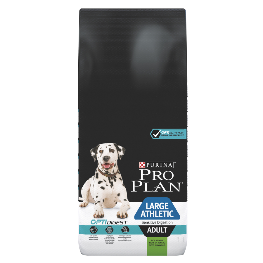 large athletic dog breeds