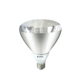 פאר חיסכון חם 25W נורת גינה