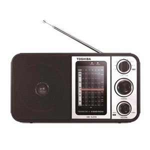  מערכת שמע ניידת TOSHIBA TYHRU30 טושיבה