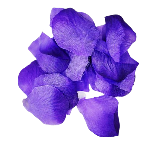 0ce11b92dac41c888c09c32a0d85deef