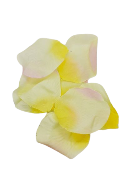 F9d3ad28731c1955aa0329ad436fbd33