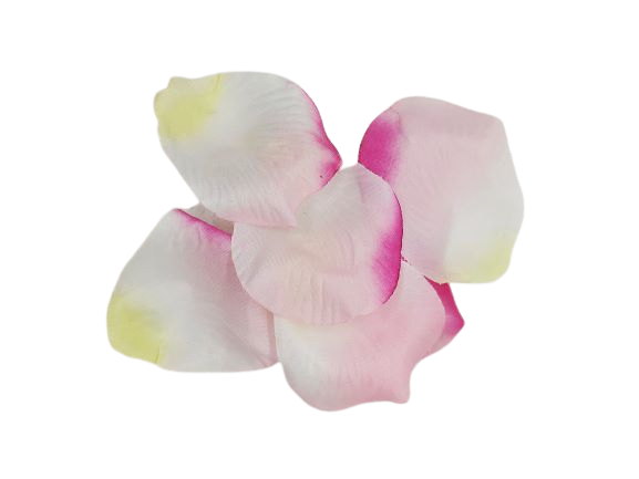 14b011fd94a10eb747fe56d3e3db4876