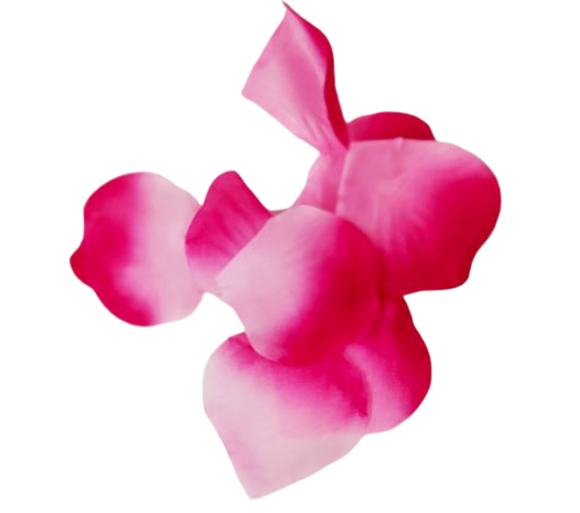 D36dd3f4ceff1e9bdbf1e230681392e9