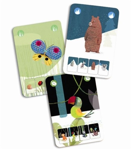 רביעיות בטבע משחק קלפים מבית DJECO