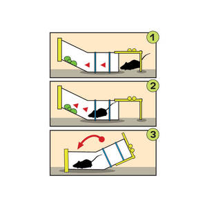 מלכודת נדנדה הומנית מקבילה למלכודת Tip Trap גריין פלייס