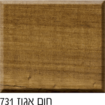 צבע עץ מגן חצי שקוף BONDEX בונדקס 2.5 ליטר