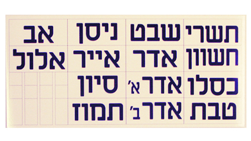 לוח חודשים פעיל ללוח קיר/מרים פלדמן