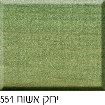 צבע עץ מגן חצי שקוף BONDEX בונדקס 2.5 ליטר