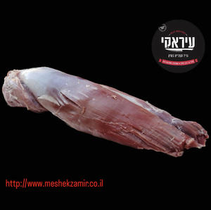 פילה מבכירה (רק ביחידות שלמות )