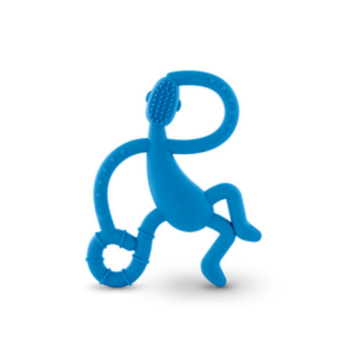 נשכן קופיף גדול כחול  MATCHSTICK MONKEY