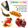 ערכת המחשה וקישוט מנהגי ראש השנה/ריטרם