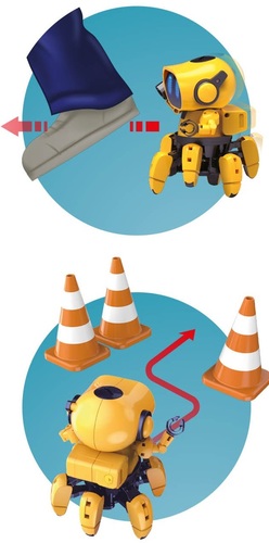 ערכה לבניית רובוט טיבו