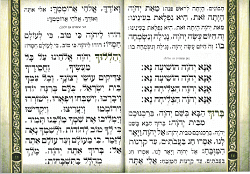 סדר הושענות