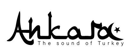 מצילת קראש 16 אינץ? מעוצבת מבית Ankara