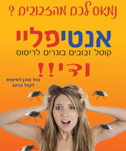 אנטיפליי - קוטל זבובים - קרטון של 12 יחידות רימי
