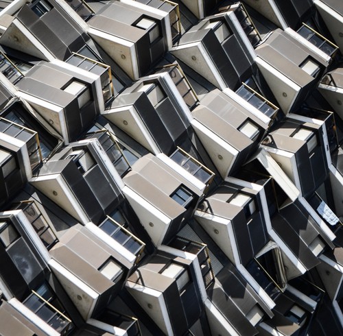 צלם השבוע - תמיר רוגובסקי