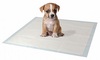 מארז פדים 14 יח' לכלבים עם מדבקות 56*56 ס''מ Pads For Dogs